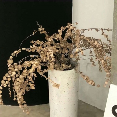 兽设天空场景设计兽圈群